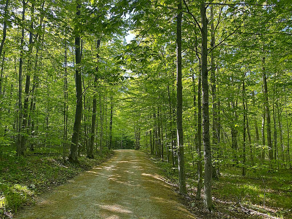 Tbd Garrett Bay Road Ellison Bay, WI 54210 - Photo 2 of 16