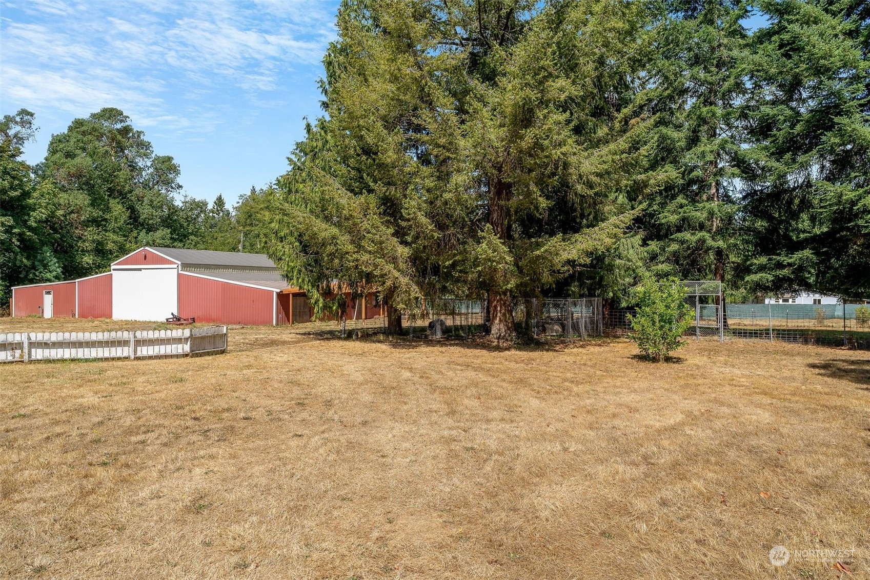 3321 Whiteman Road Southwest Longbranch, WA 98349 - Photo 6 of 40 a view of a house with a yard and tree