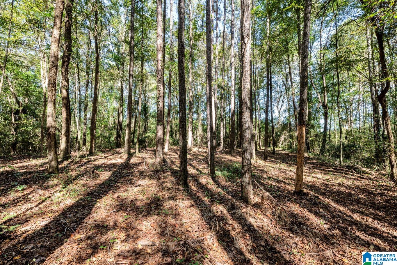 920 Coupland Road Odenville, AL 35120 - Photo 31 of 37
