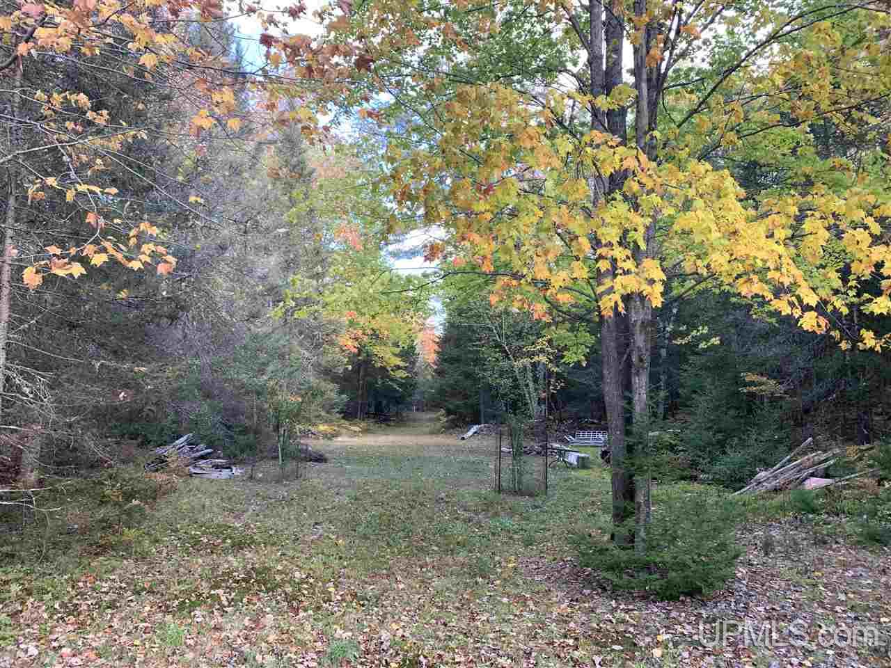 Tbd 32nd Road Rapid River, MI 49878 - Photo 14 of 21 Gallery Image 14