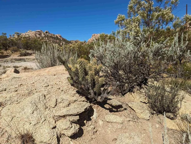 $1,900,000 | 42084 Old Highway 80, Jacumba, CA 91934