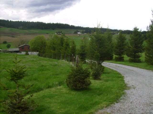 5823 South Chapman Road Greenacres, WA 99016 - Photo 8 of 9