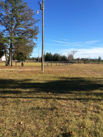 45 Sand Piper Road Barnwell, SC 29812 - Photo 9 of 32