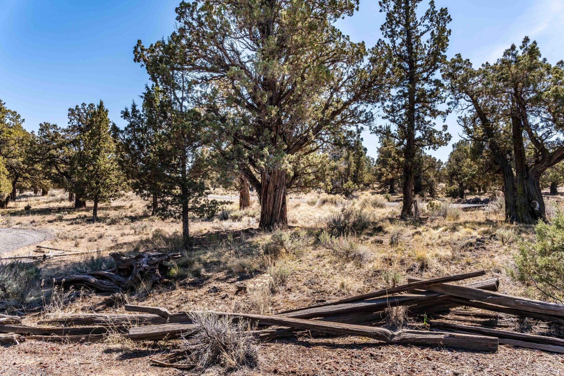 64478 McGrath Road Bend, OR 97701 - Photo 30 of 41 batch_64484 McGrath Rd, Bend-39