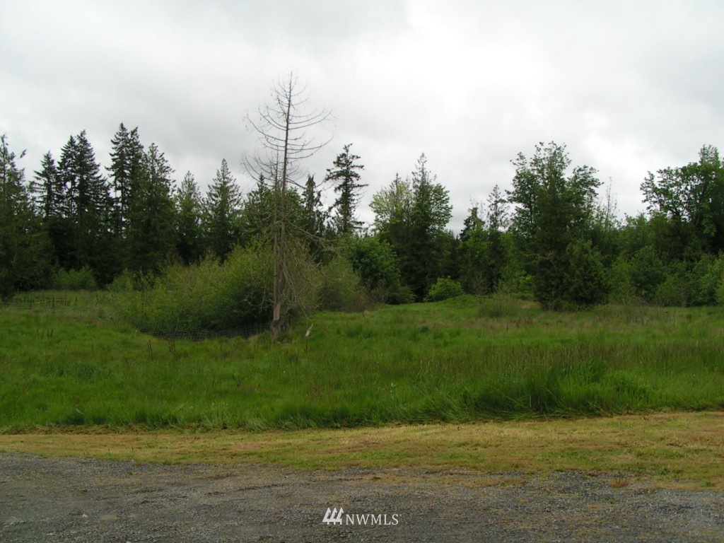 297 Glass Road Port Angeles, WA 98362 - Photo 3 of 15 Gallery Image 3