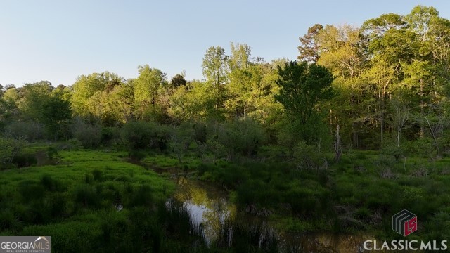 0 Moore Road Elberton, GA 30635 - Photo 21 of 67