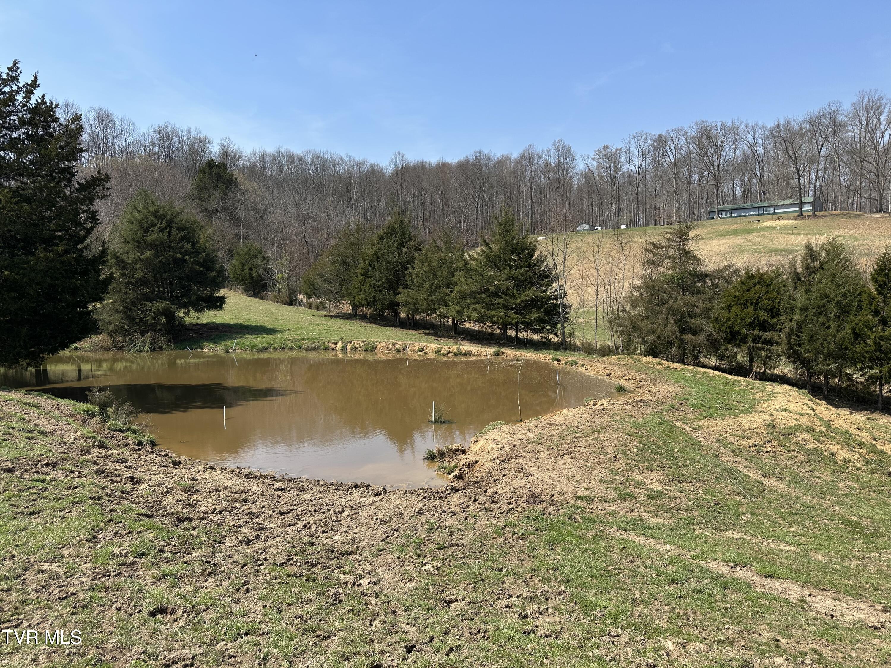 Lot 1 Old Snapps Ferry Road Limestone, TN 37681 - Photo 11 of 19 IMG_7852