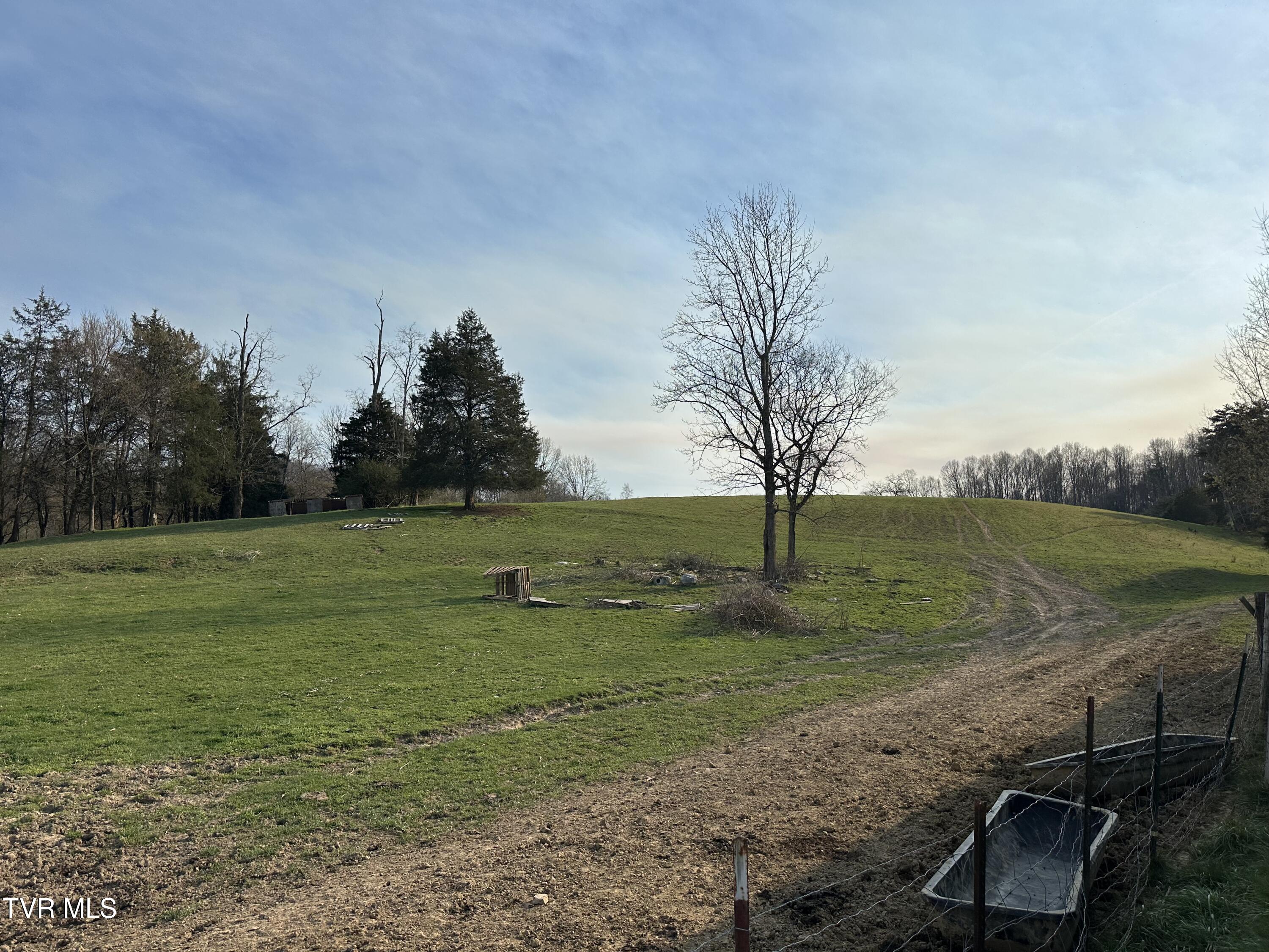 Lot 1 Old Snapps Ferry Road Limestone, TN 37681 - Photo 12 of 19 IMG_7891