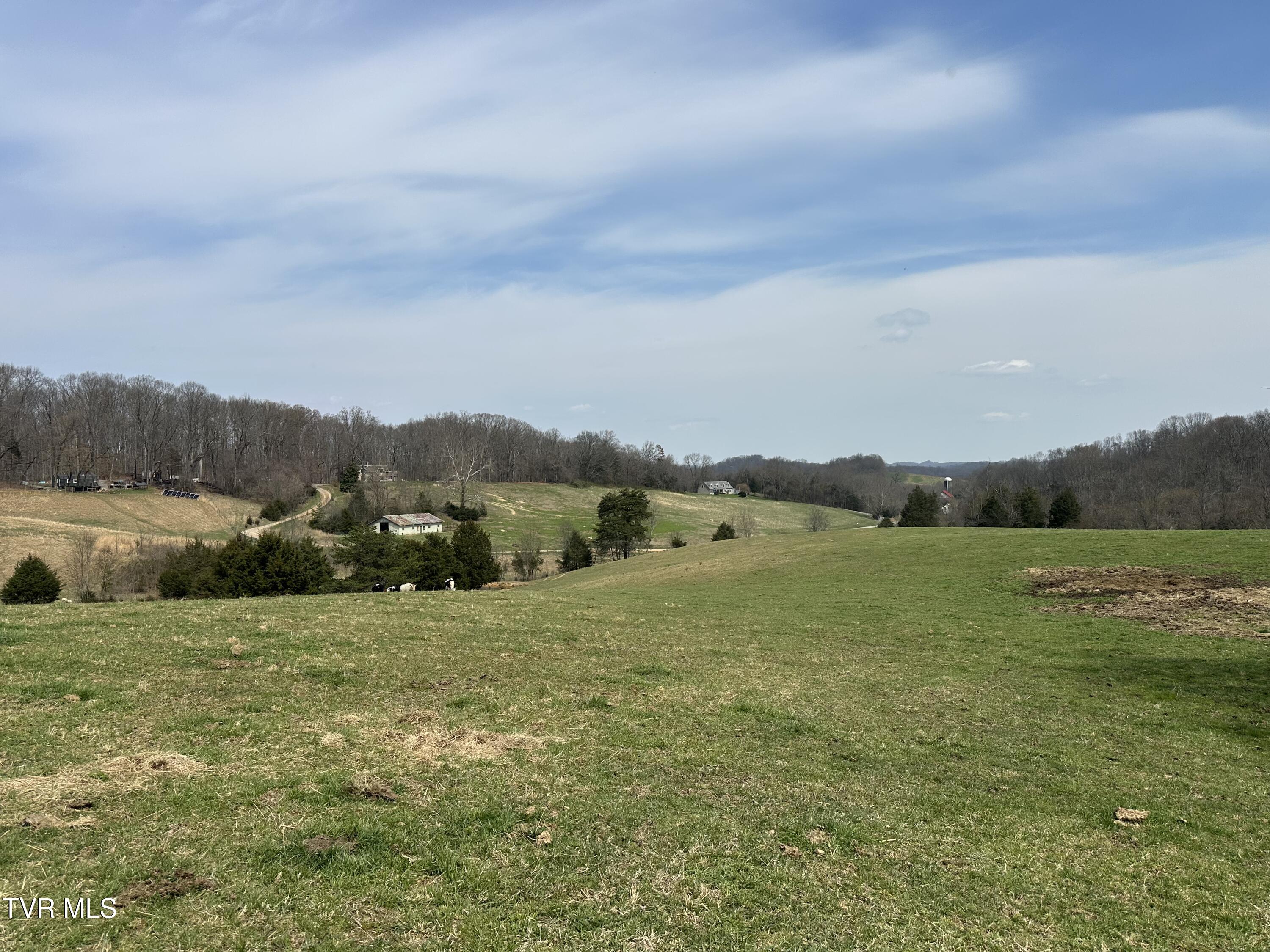 Lot 1 Old Snapps Ferry Road Limestone, TN 37681 - Photo 13 of 19 IMG_2732