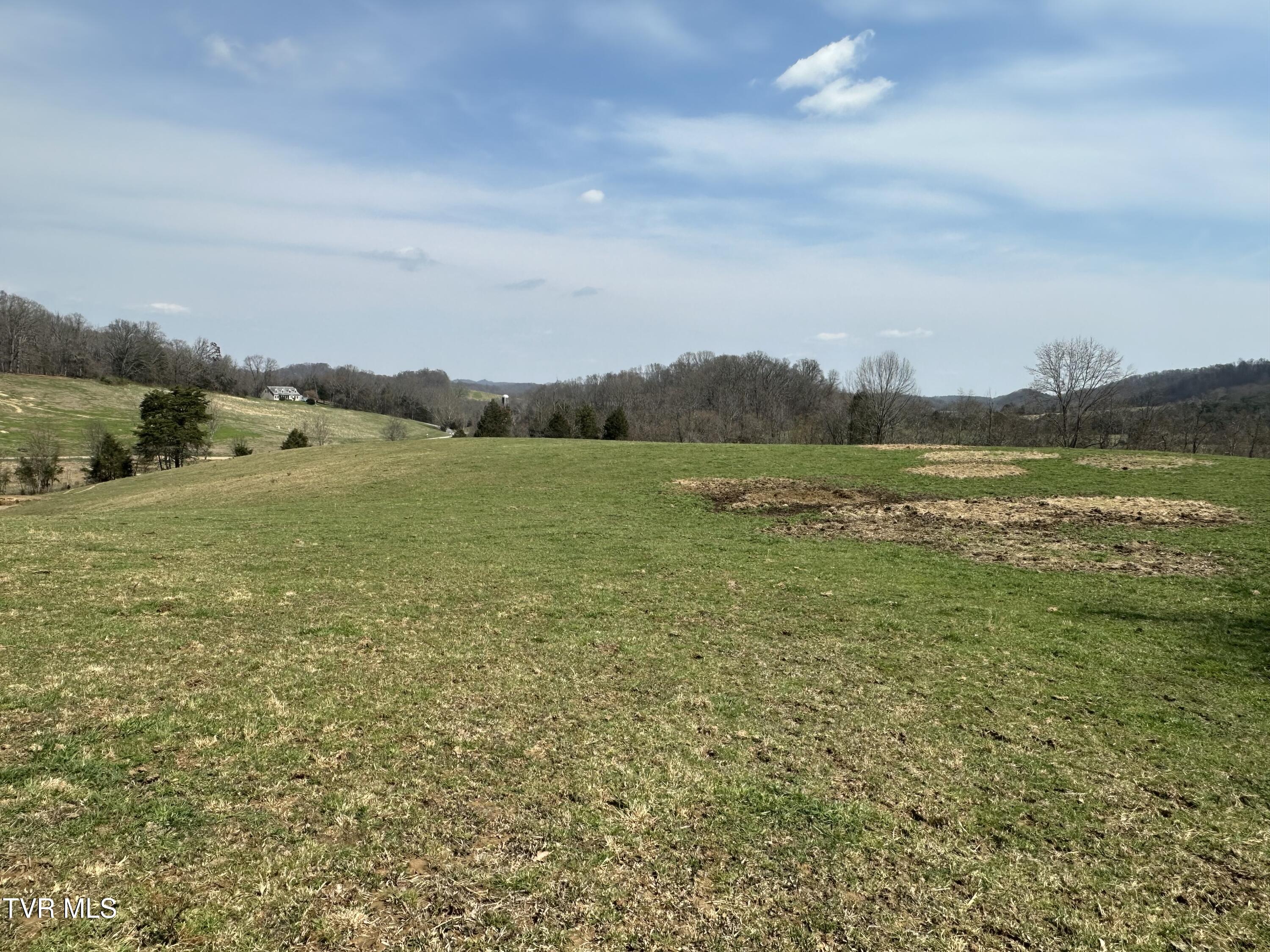 Lot 1 Old Snapps Ferry Road Limestone, TN 37681 - Photo 15 of 19 IMG_2755