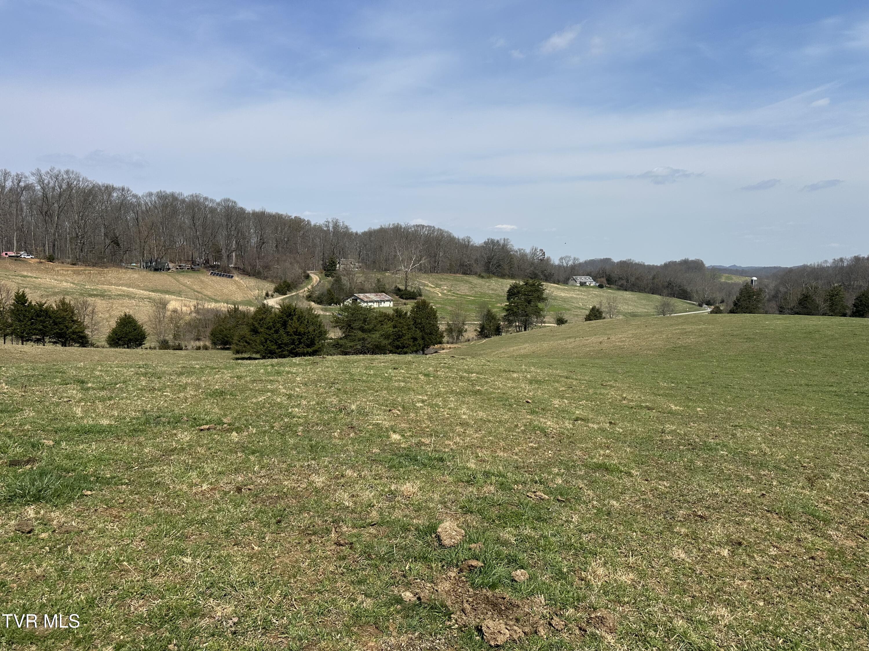 Lot 1 Old Snapps Ferry Road Limestone, TN 37681 - Photo 16 of 19 IMG_2754
