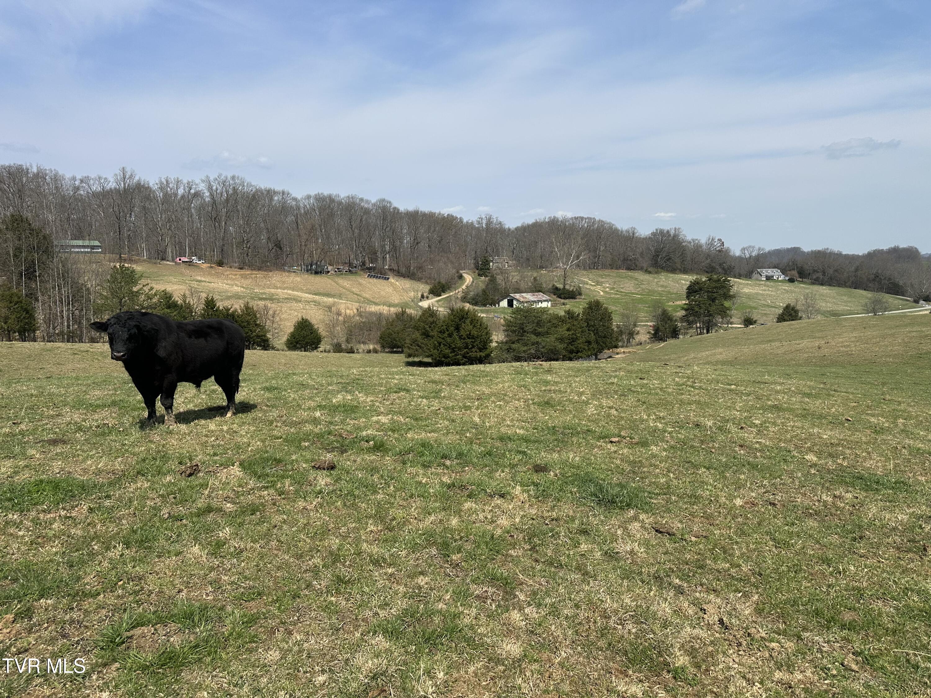 Lot 1 Old Snapps Ferry Road Limestone, TN 37681 - Photo 17 of 19 IMG_2751