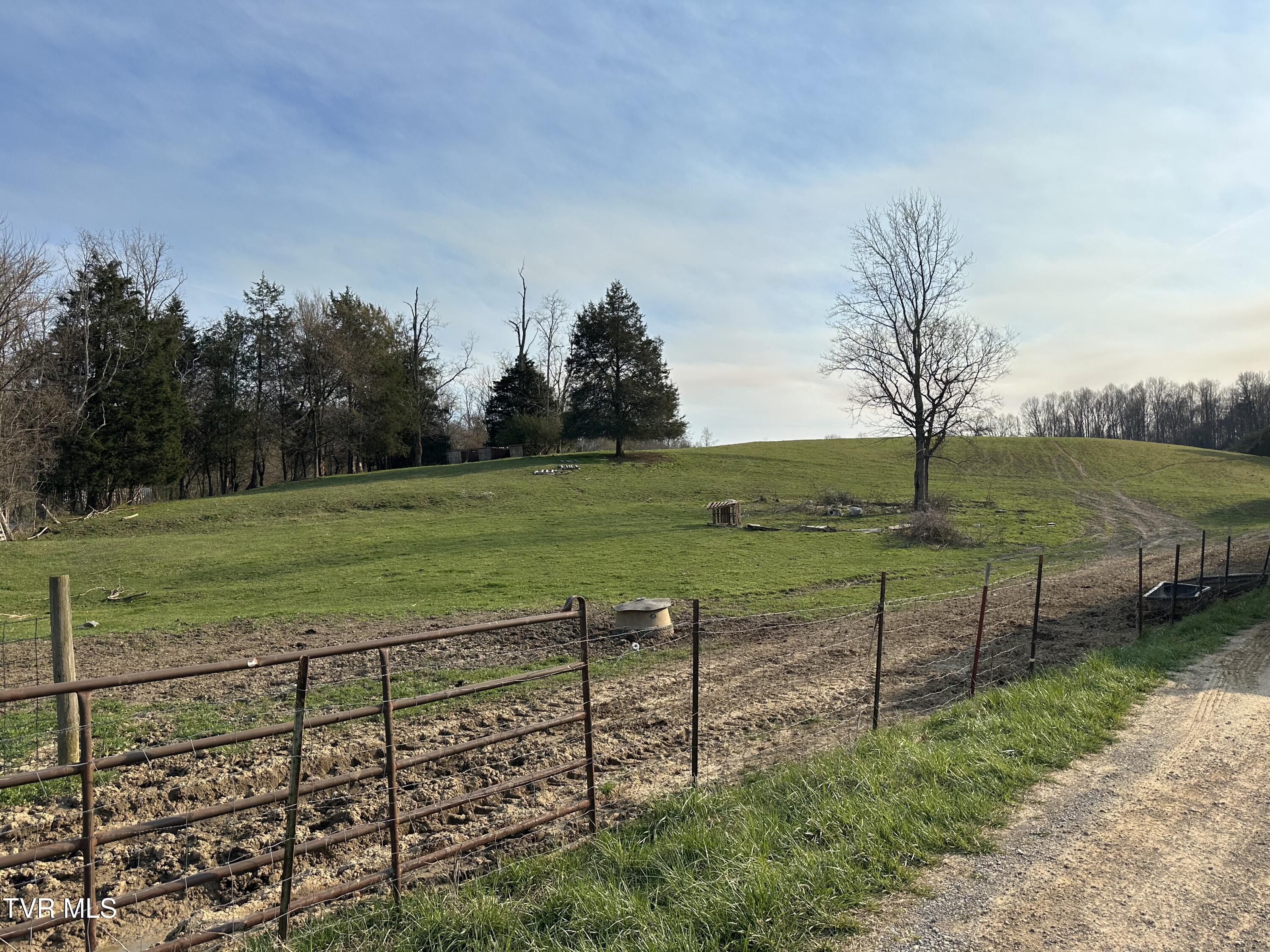 Lot 1 Old Snapps Ferry Road Limestone, TN 37681 - Photo 18 of 19 IMG_7890