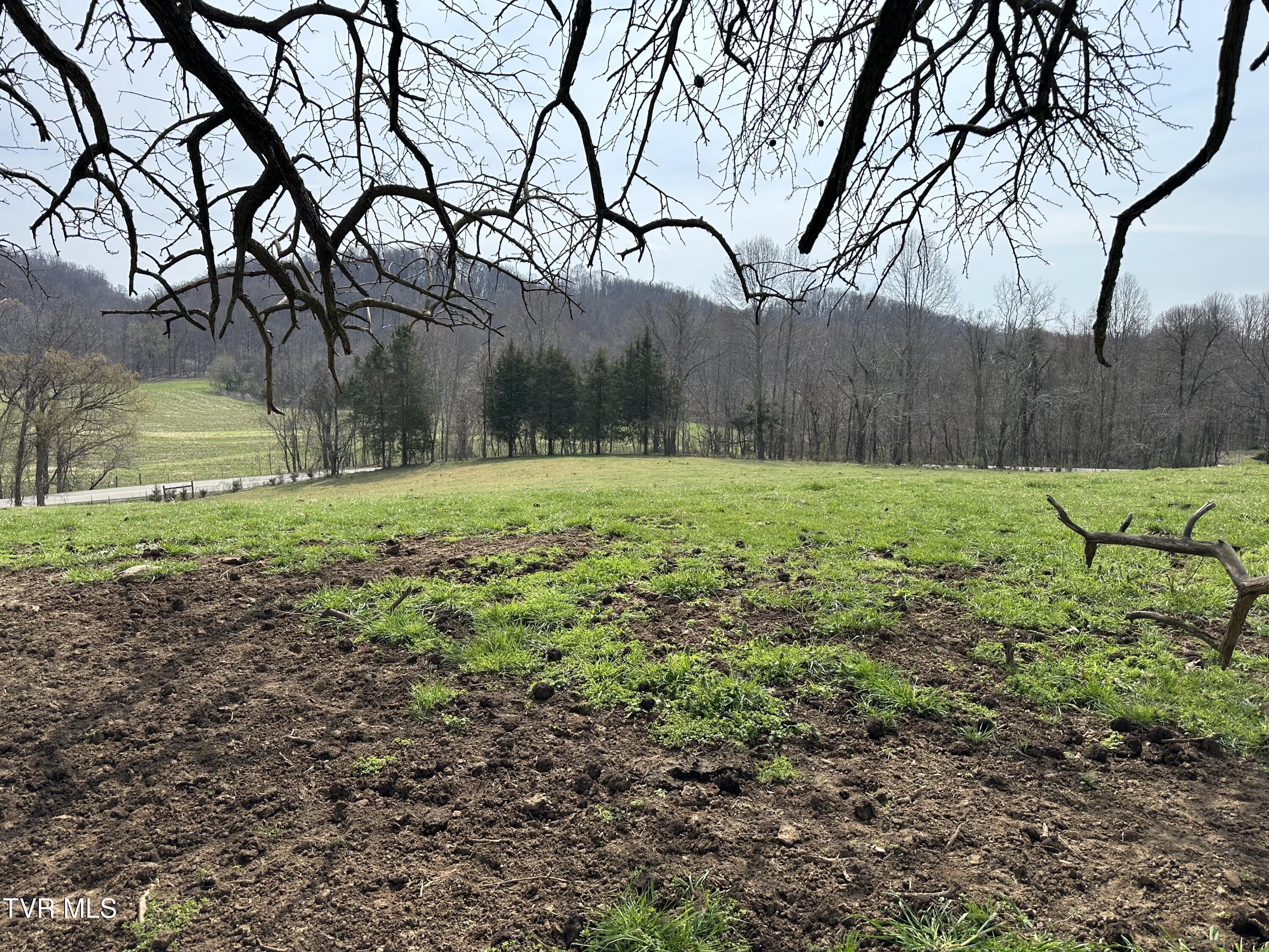 Lot 1 Old Snapps Ferry Road Limestone, TN 37681 - Photo 4 of 19 IMG_7836