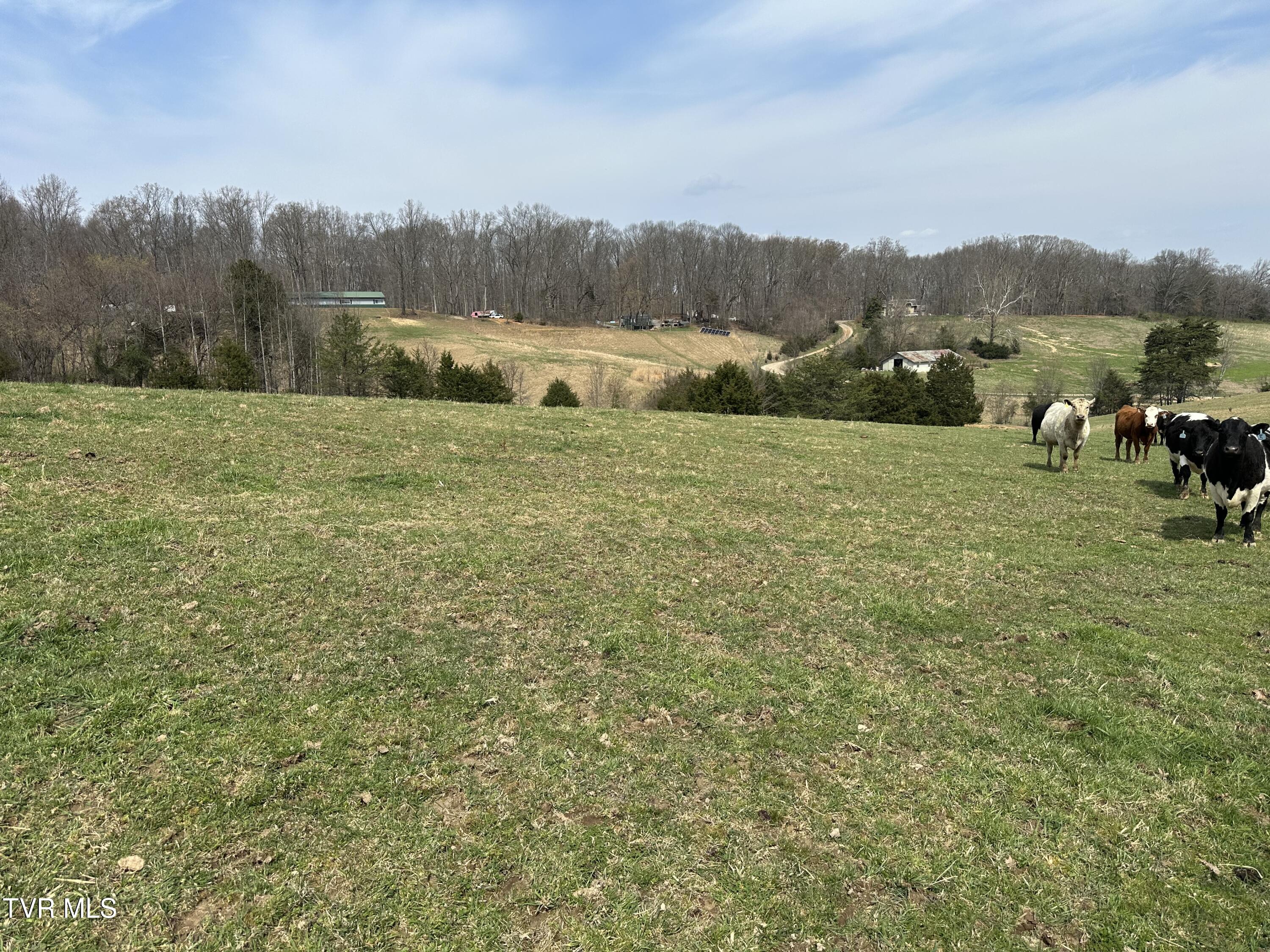 Lot 1 Old Snapps Ferry Road Limestone, TN 37681 - Photo 5 of 19 IMG_7839