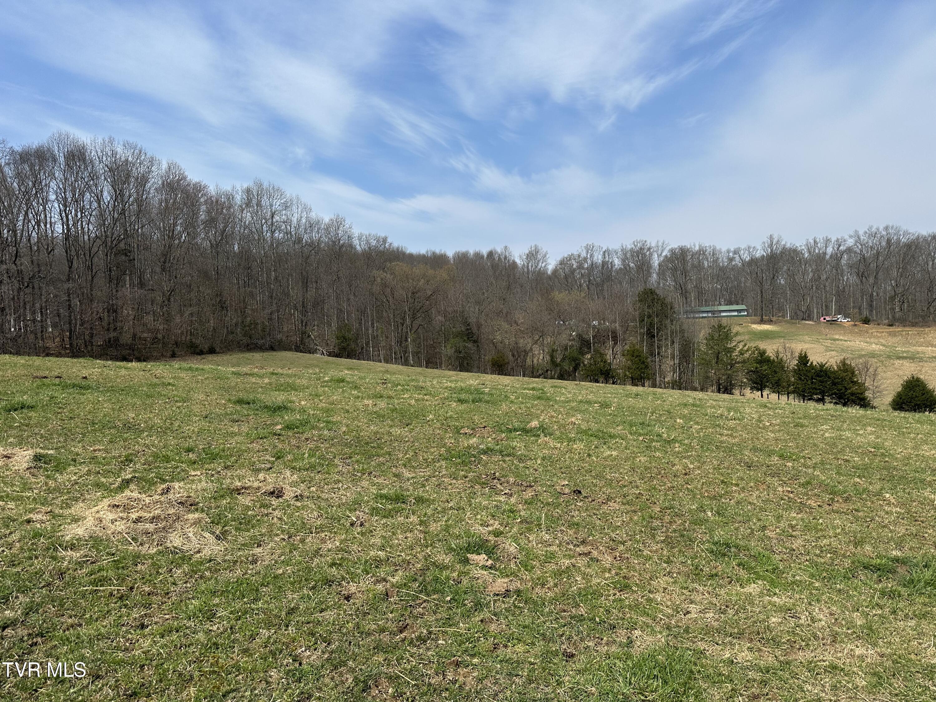 Lot 1 Old Snapps Ferry Road Limestone, TN 37681 - Photo 6 of 19 IMG_7842