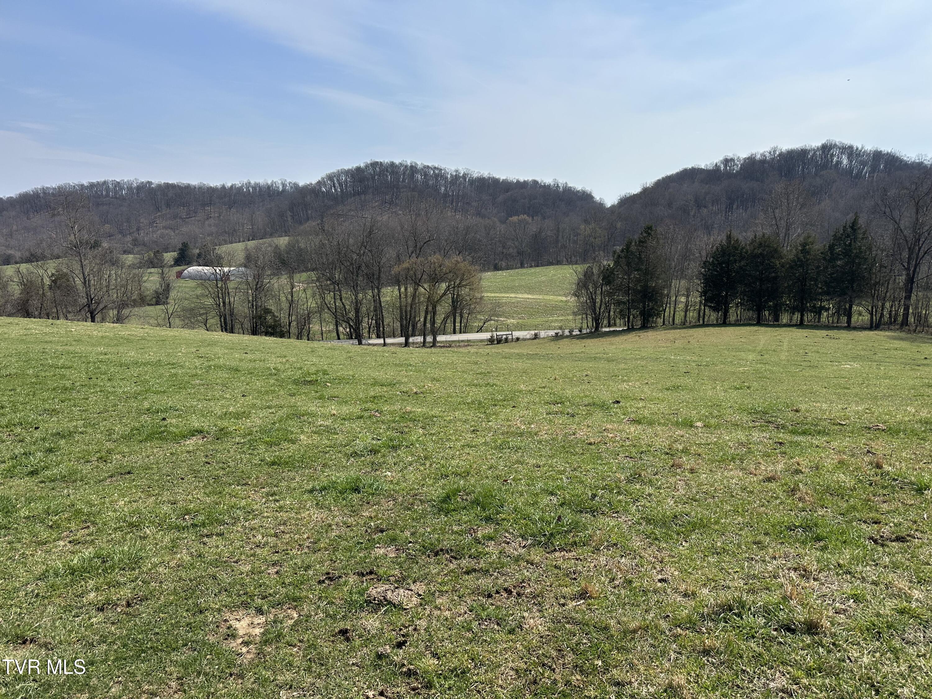 Lot 1 Old Snapps Ferry Road Limestone, TN 37681 - Photo 7 of 19 IMG_7846