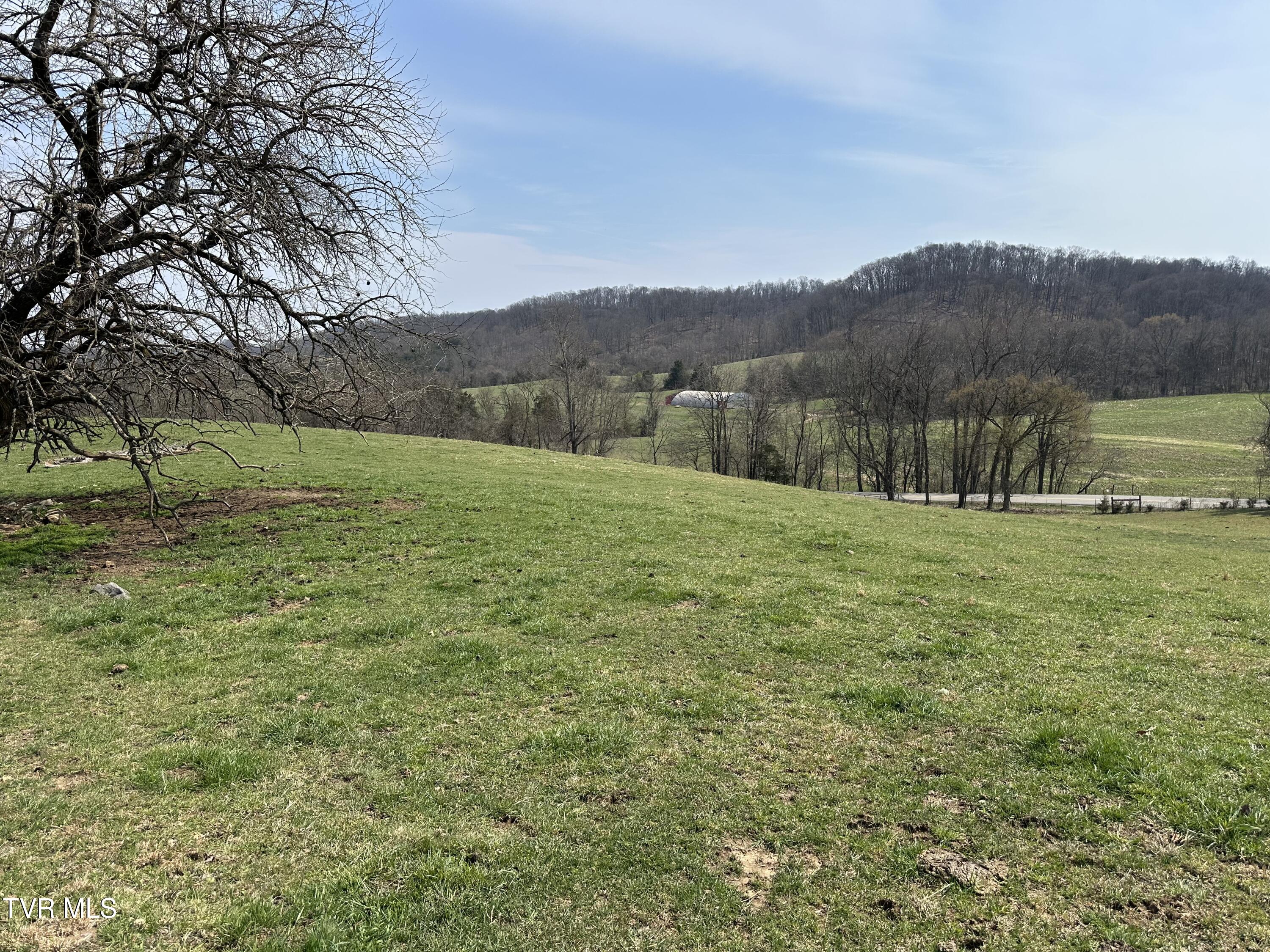 Lot 1 Old Snapps Ferry Road Limestone, TN 37681 - Photo 8 of 19 IMG_7847