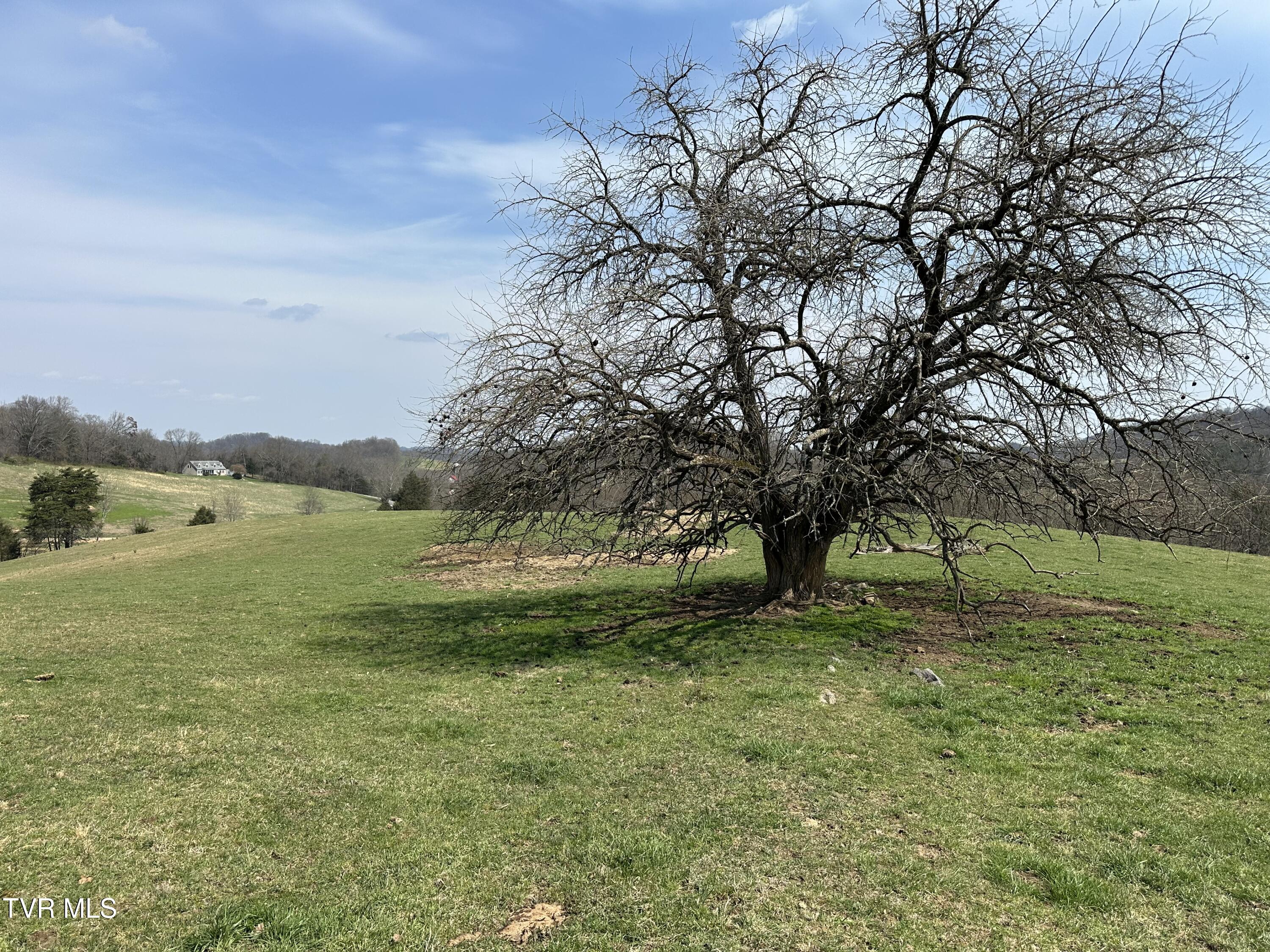 Lot 1 Old Snapps Ferry Road Limestone, TN 37681 - Photo 9 of 19 IMG_7848