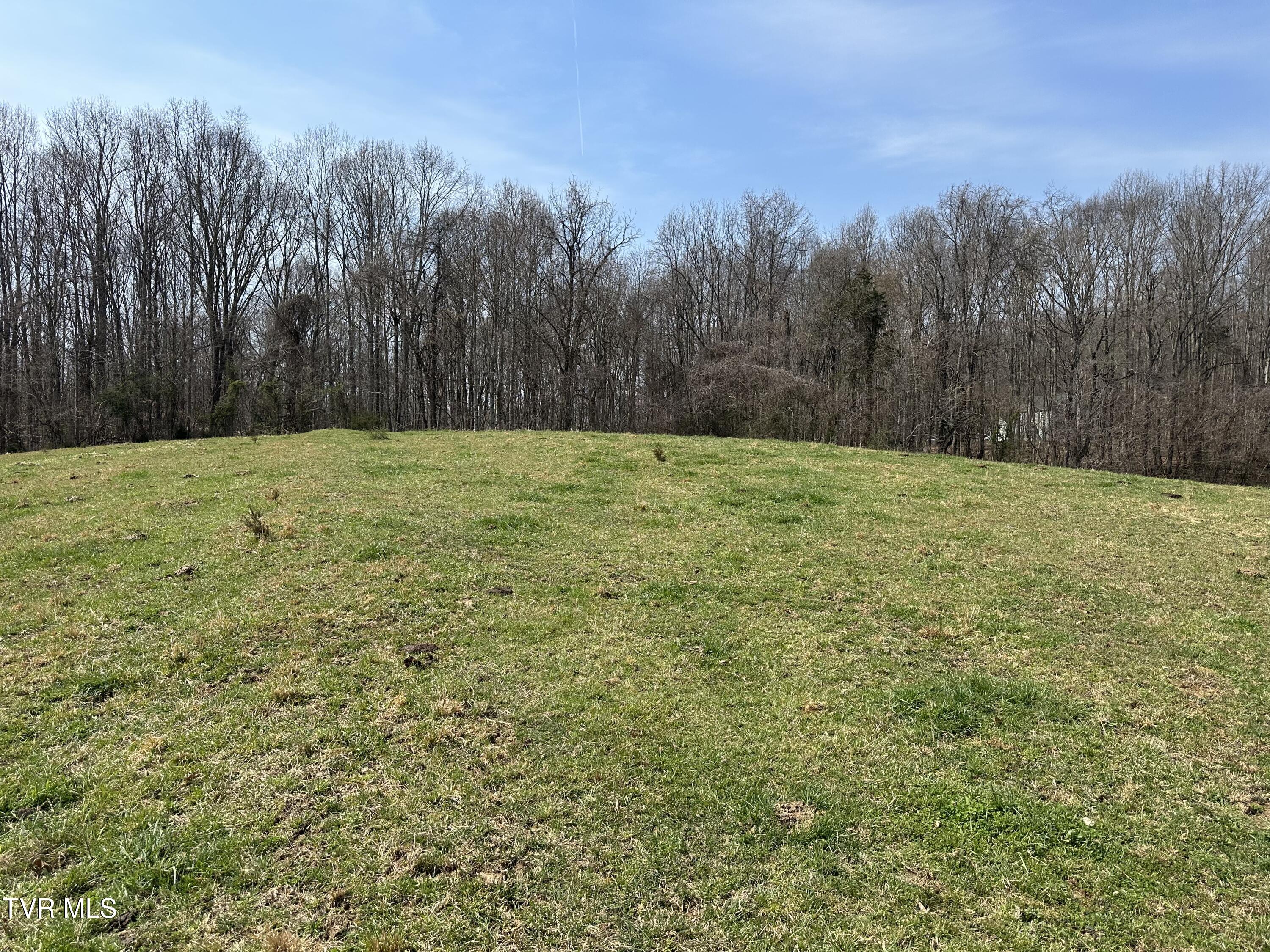 Lot 1 Old Snapps Ferry Road Limestone, TN 37681 - Photo 10 of 19 IMG_7849