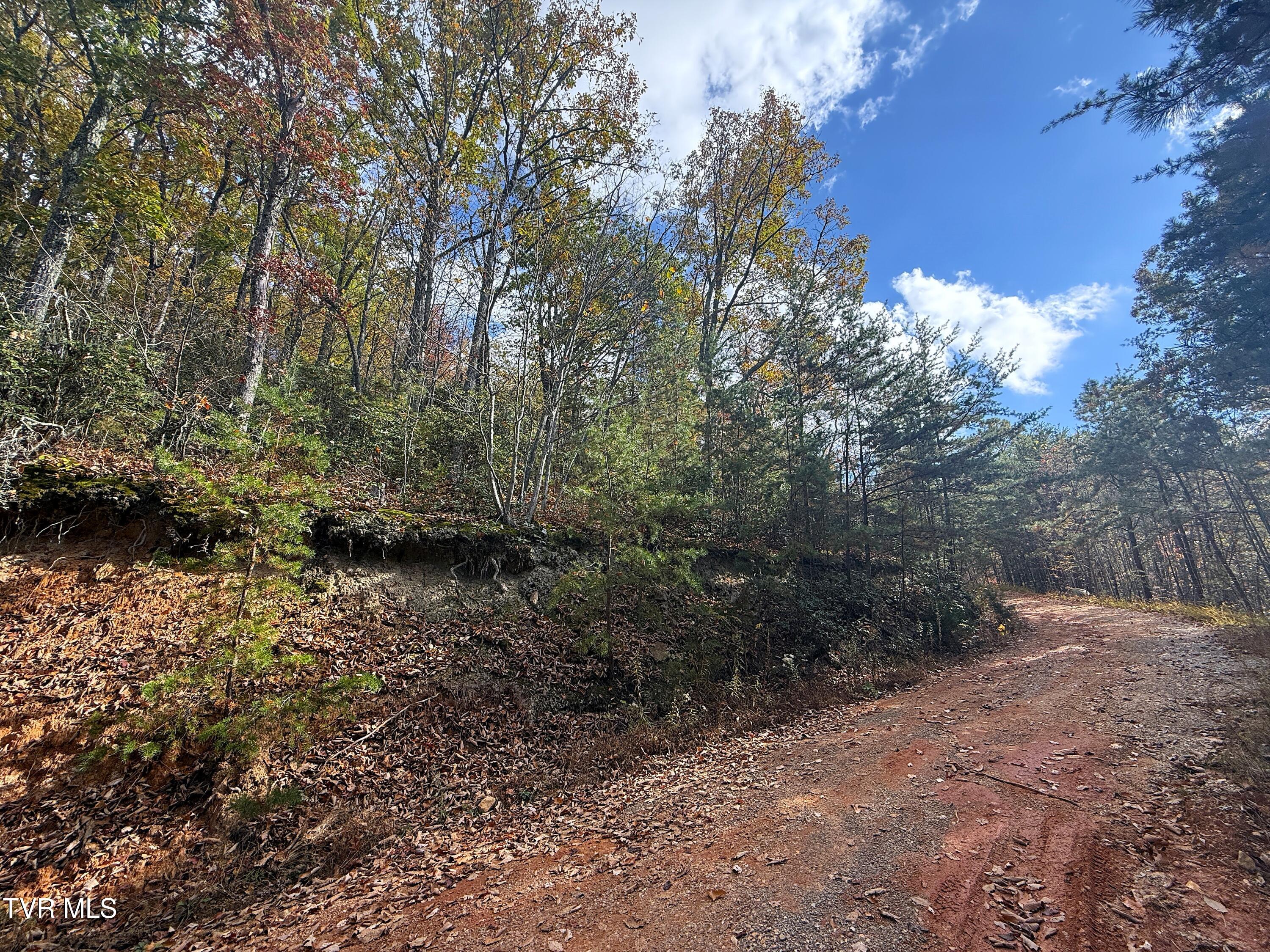 1.41 Green Forest Road Cosby, TN 37722 - Photo 2 of 7 IMG_0640