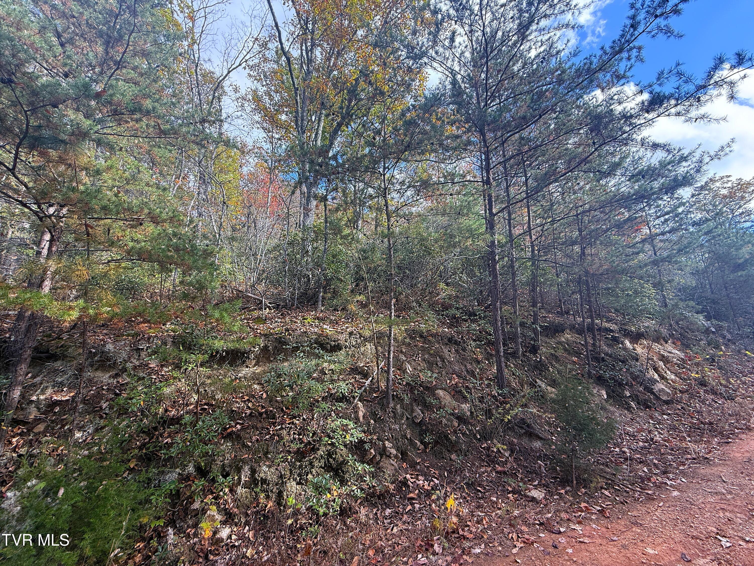 1.41 Green Forest Road Cosby, TN 37722 - Photo 3 of 7 IMG_0641
