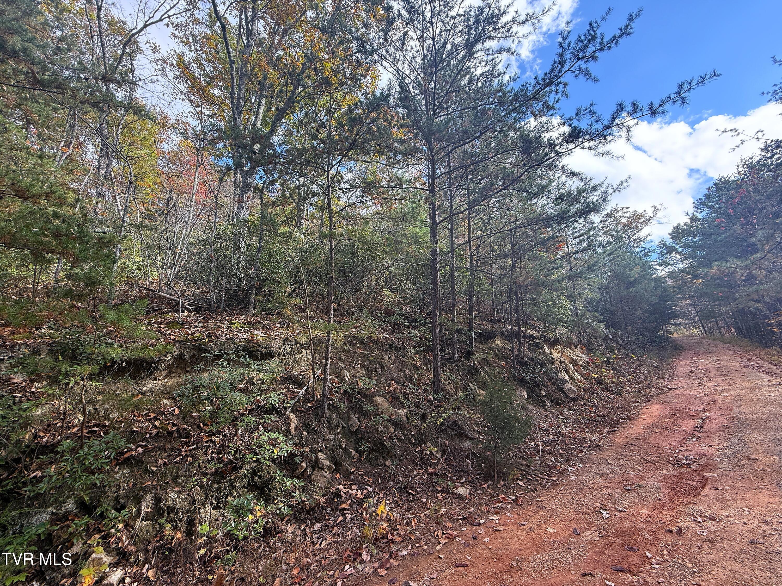 1.41 Green Forest Road Cosby, TN 37722 - Photo 4 of 7 IMG_0642