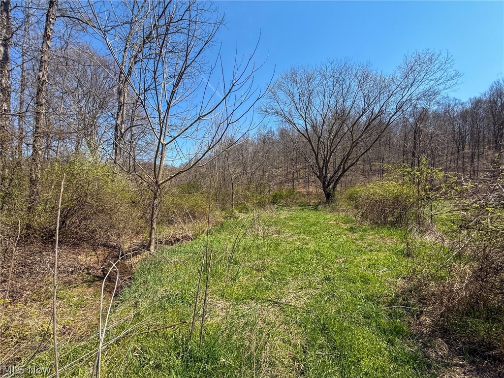 Claysville Road Cumberland, OH 43732 - Photo 13 of 47