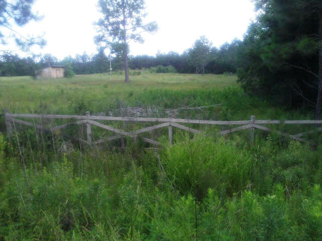 26798 Timber Lane Elberta, AL 36530 - Photo 1 of 1