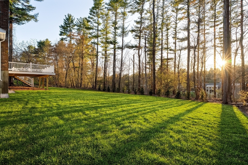 14 Snyder Road Medfield, MA 02052 - Photo 32 of 34 Gallery Image 32