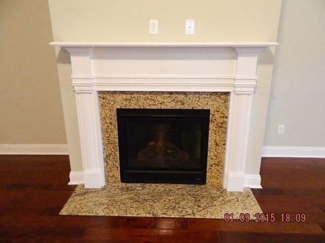 338 Decatur Drive Summerville, SC 29486 - Photo 13 of 31 Fireplace