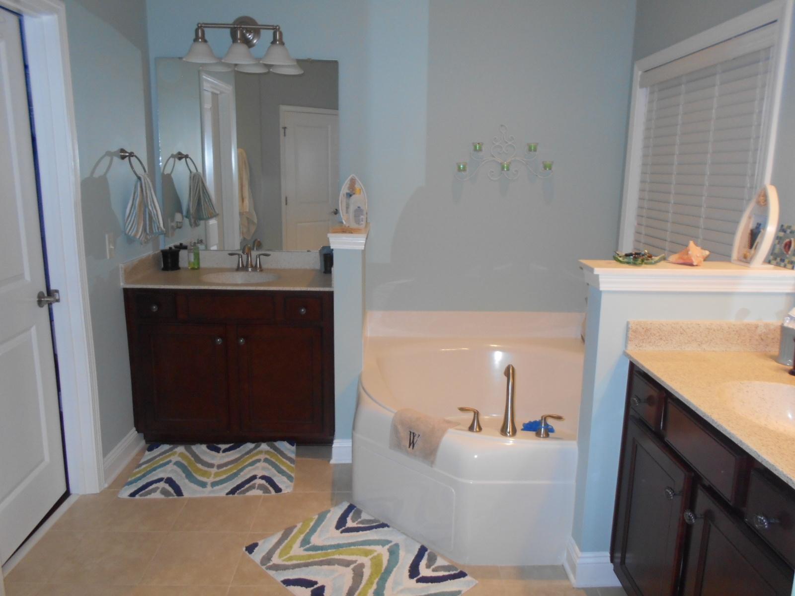 338 Decatur Drive Summerville, SC 29486 - Photo 3 of 31 Master bath