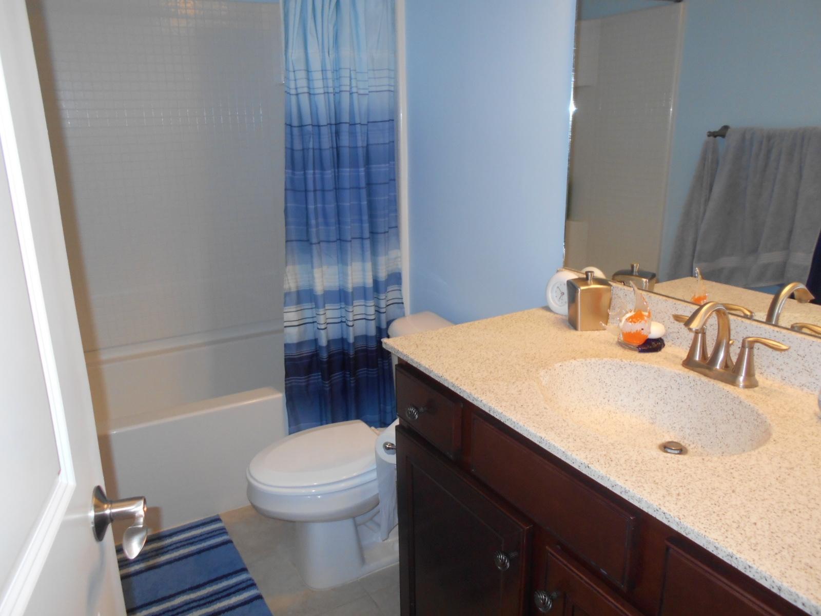 338 Decatur Drive Summerville, SC 29486 - Photo 6 of 31 Hall Bathroom
