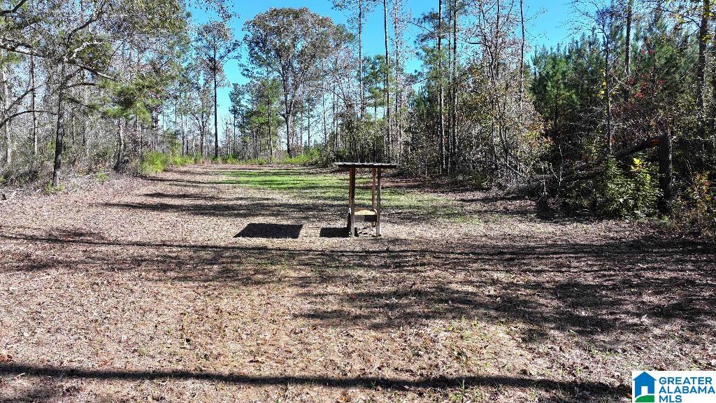 200 Kelly Creek Road Odenville, AL 35120 - Photo 31 of 47