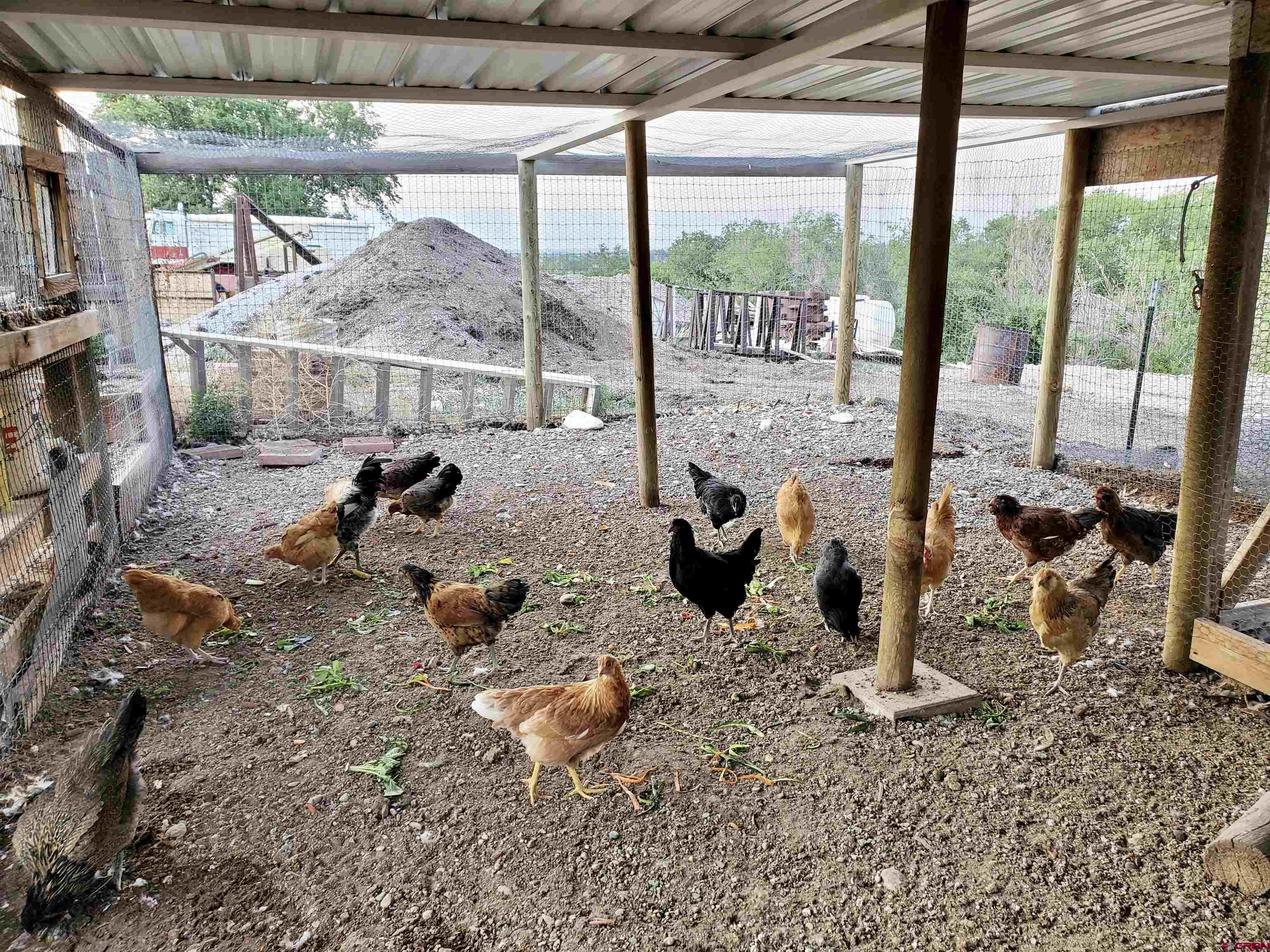 3998 5500th Road Olathe, CO 81425 - Photo 11 of 38