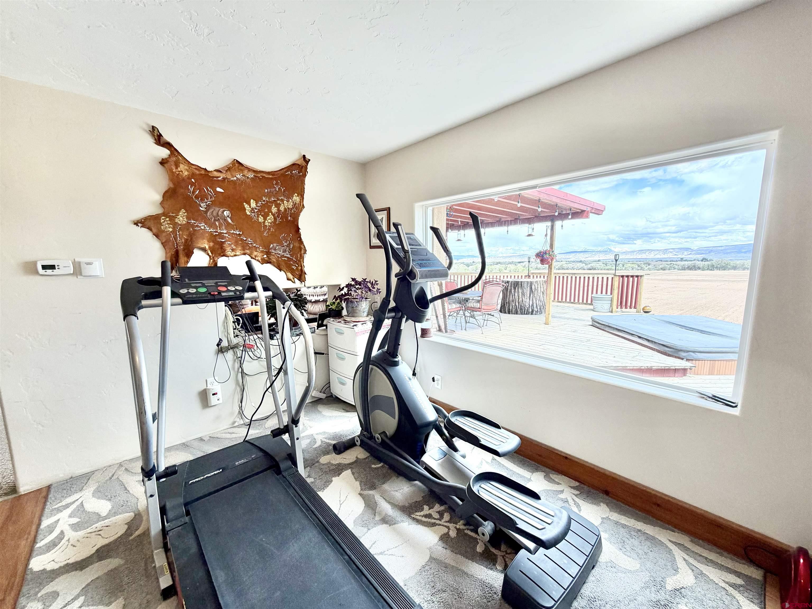 3998 5500th Road Olathe, CO 81425 - Photo 25 of 45 a room with gym equipment