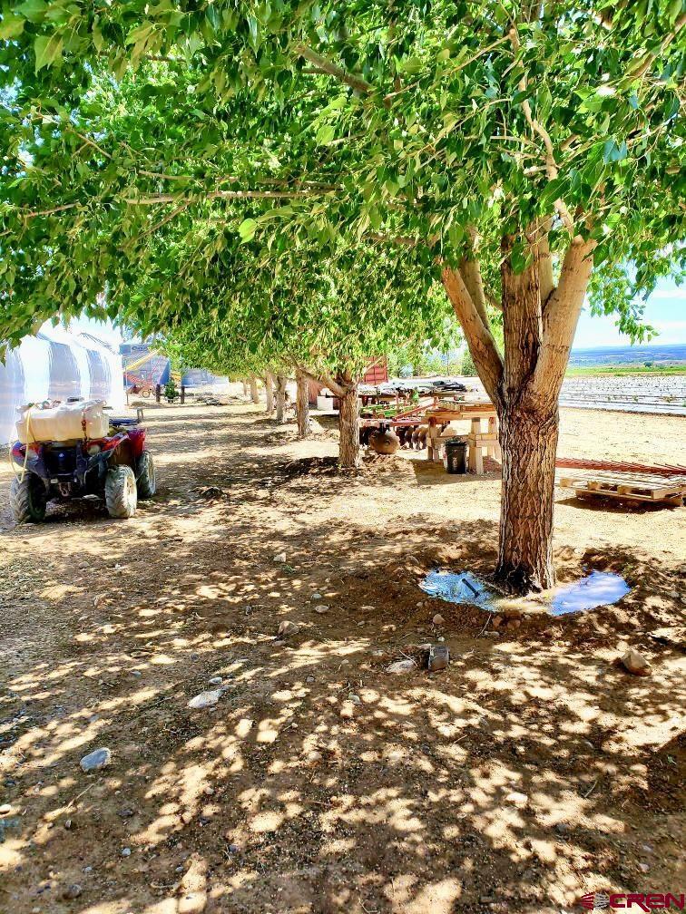 3998 5500th Road Olathe, CO 81425 - Photo 32 of 38