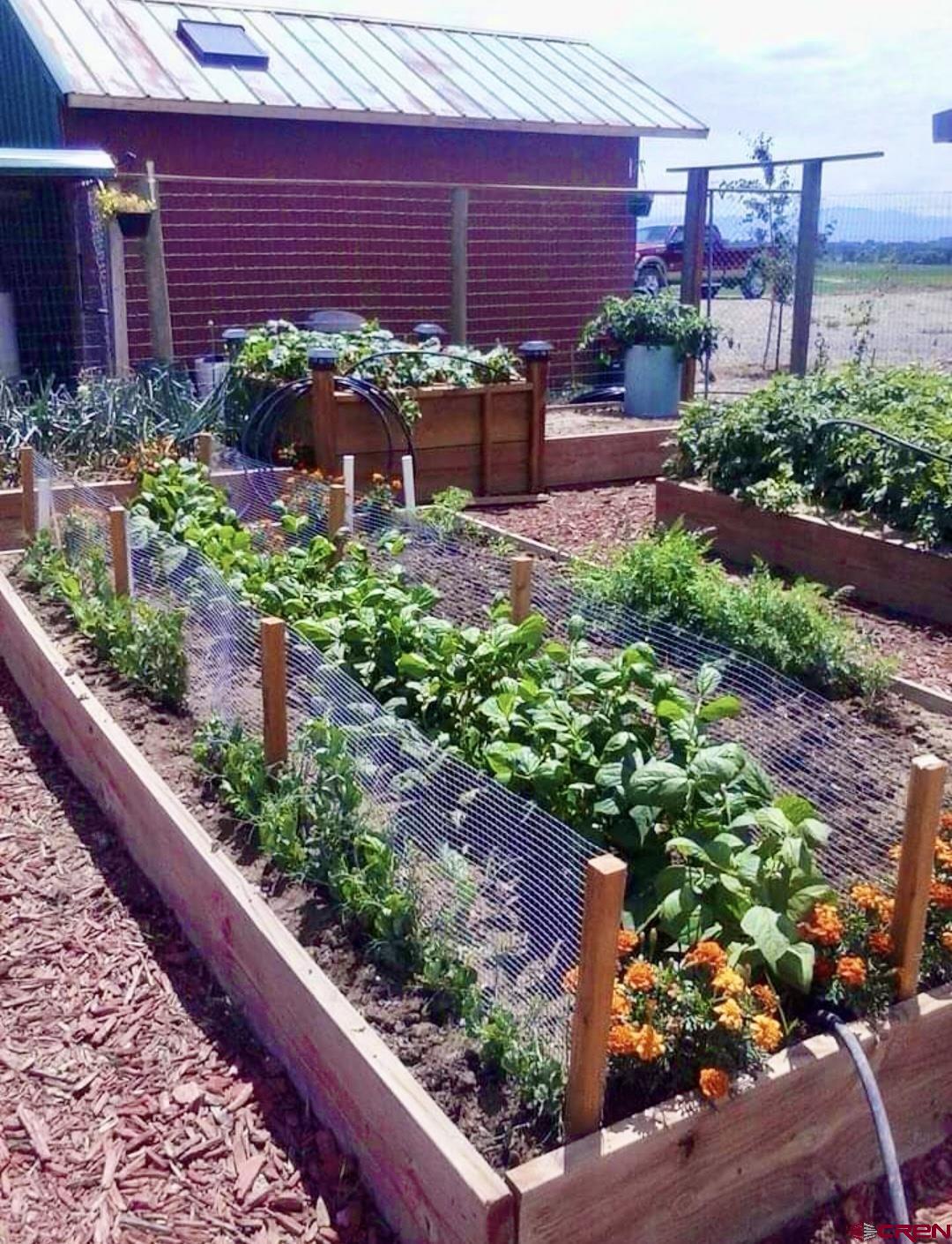 3998 5500th Road Olathe, CO 81425 - Photo 33 of 38