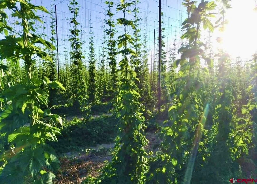 3998 5500th Road Olathe, CO 81425 - Photo 35 of 38