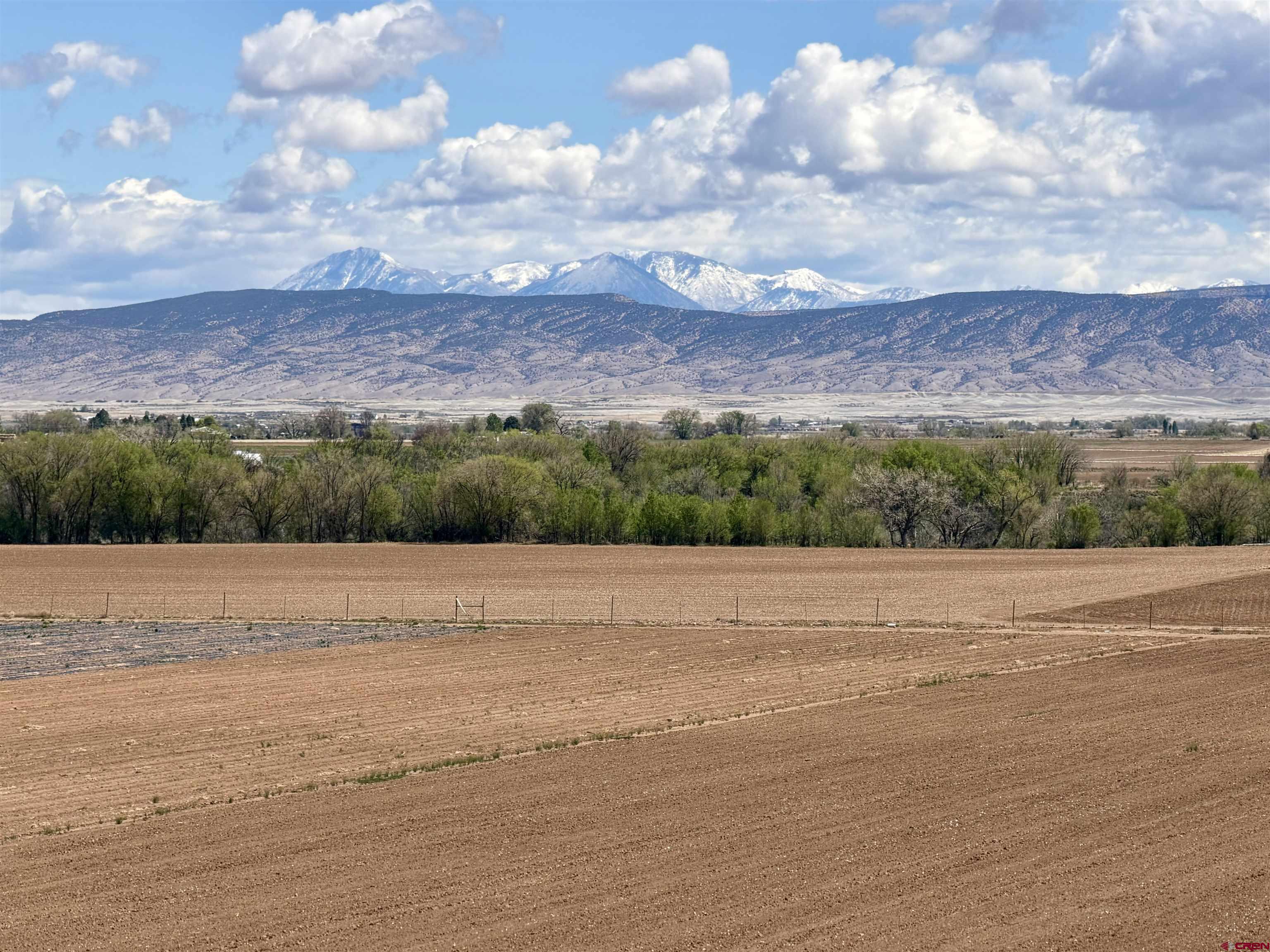3998 5500th Road Olathe, CO 81425 - Photo 37 of 38