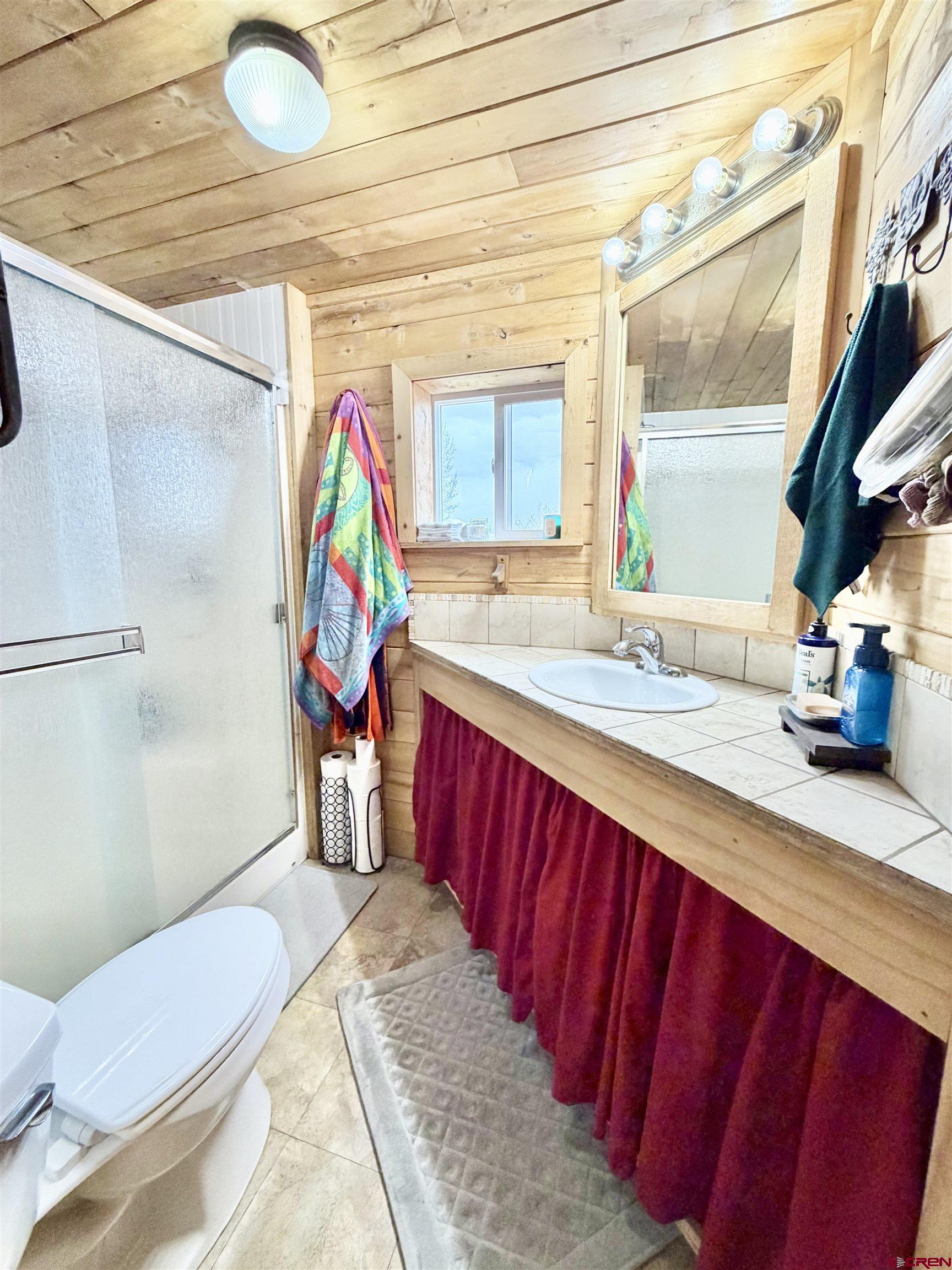 3998 5500th Road Olathe, CO 81425 - Photo 39 of 45 a bathroom with a sink a toilet and shower