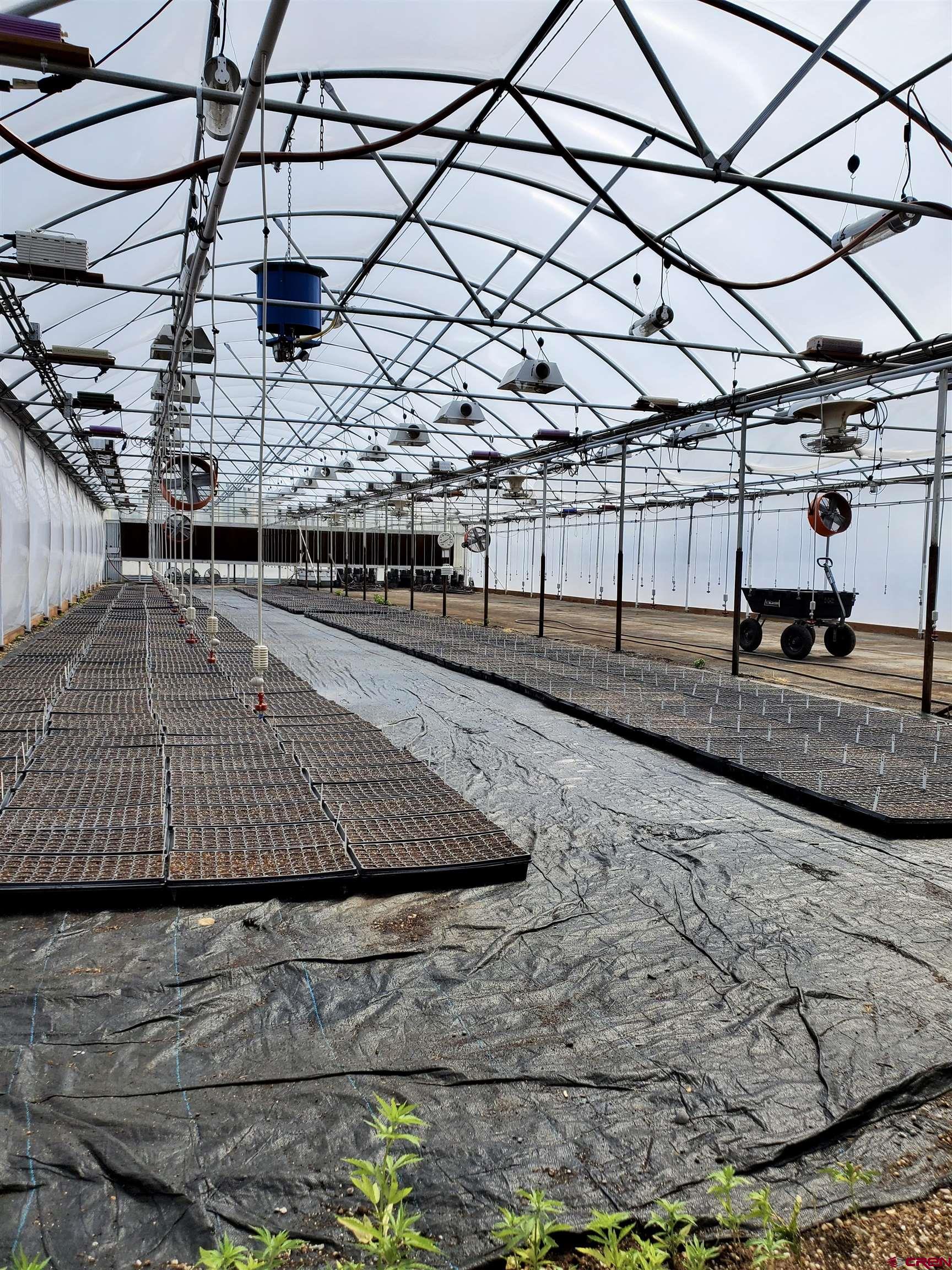 3998 5500th Road Olathe, CO 81425 - Photo 6 of 38