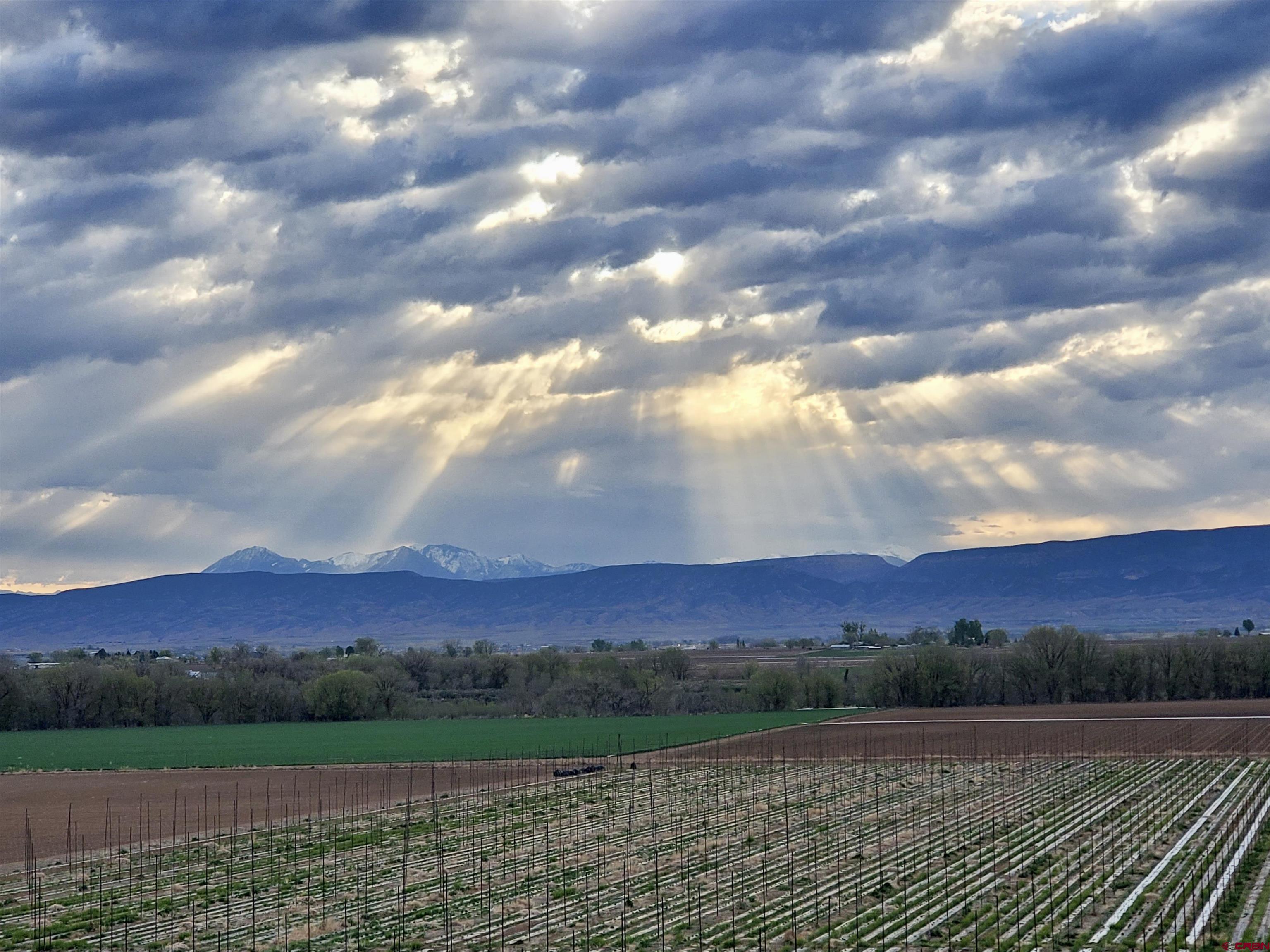 3998 5500th Road Olathe, CO 81425 - Photo 9 of 38