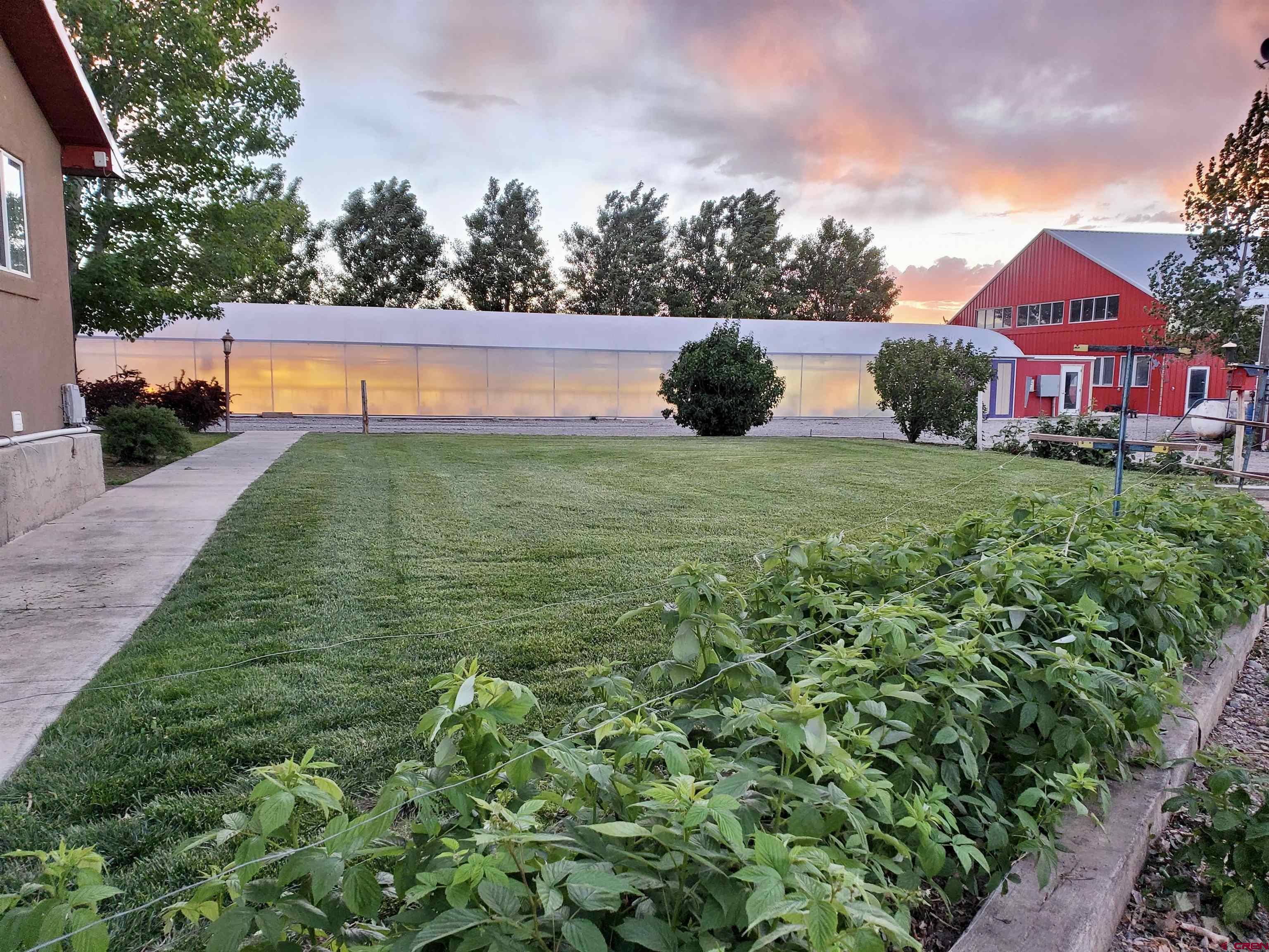 3998 5500th Road Olathe, CO 81425 - Photo 10 of 38