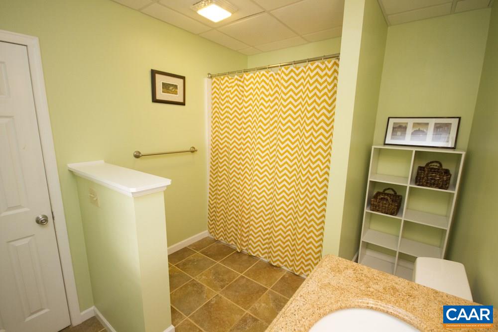 81 Hords Hill Road Ruckersville, VA 22968 - Photo 20 of 34 a bathroom with a sink and a shower