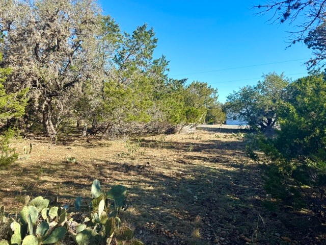 140 Spring Branch Drive Leakey, TX 78873 - Photo 11 of 19