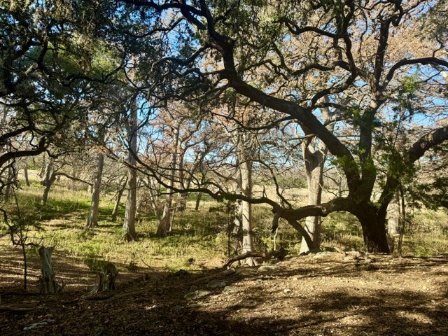140 Spring Branch Drive Leakey, TX 78873 - Photo 5 of 19