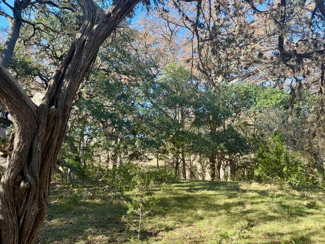 140 Spring Branch Drive Leakey, TX 78873 - Photo 6 of 19