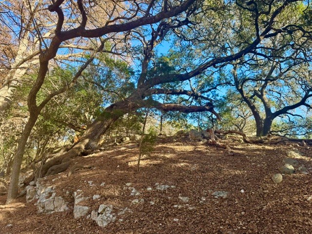 140 Spring Branch Drive Leakey, TX 78873 - Photo 7 of 19
