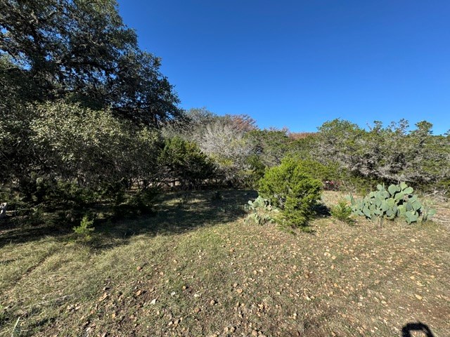 140 Spring Branch Drive Leakey, TX 78873 - Photo 8 of 19